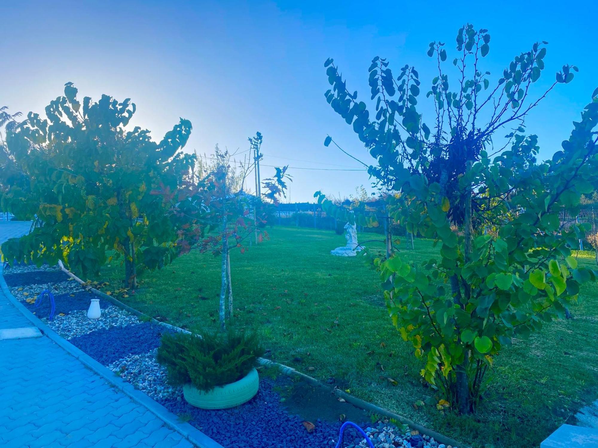 Alto Do Moinho Apartment อัลโกบาซา ภายนอก รูปภาพ